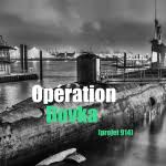 Operation Dovka (projet 914)