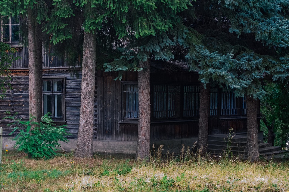 La cabane du chasseur