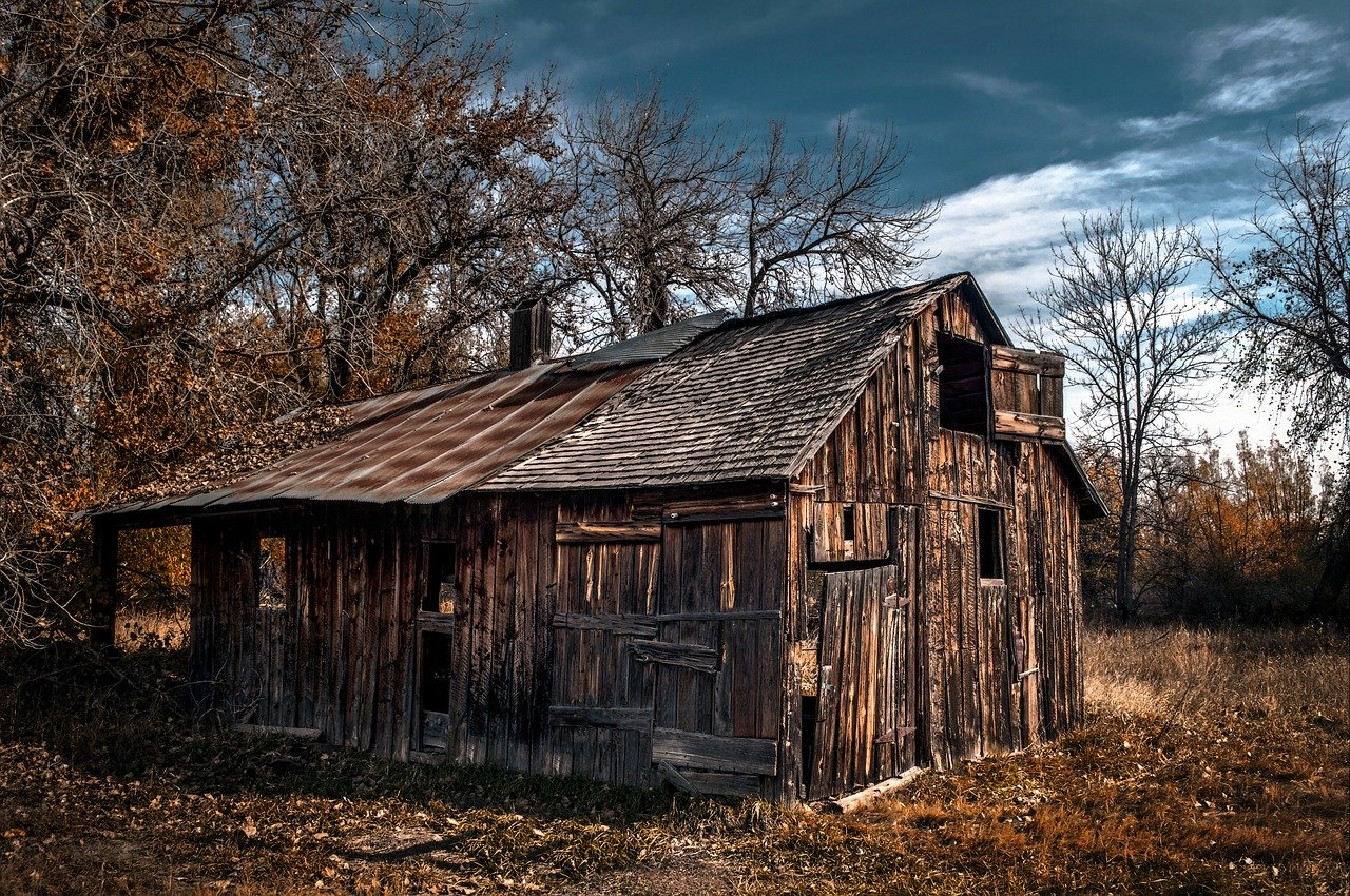 The cabin