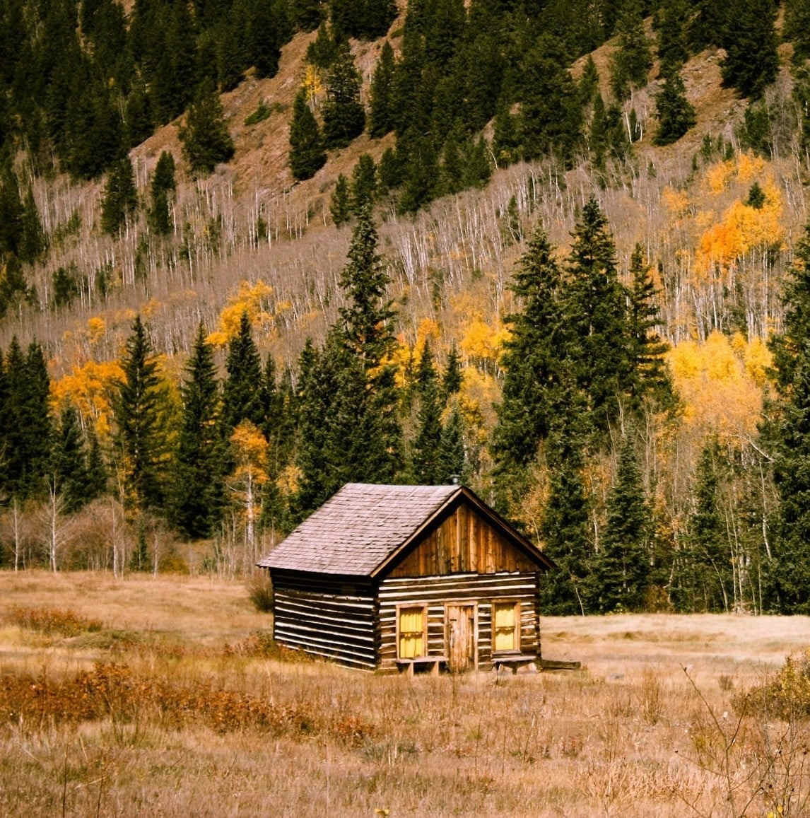 La Cabane de Kodawe